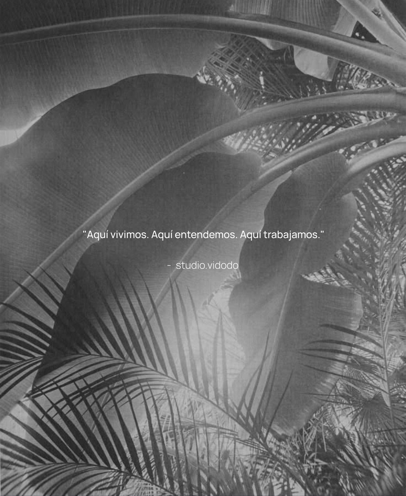 Hojas de plátano y palma, ‘Aquí vivimos. Aquí entendemos. Aquí trabajamos.’ — studio.vidodo